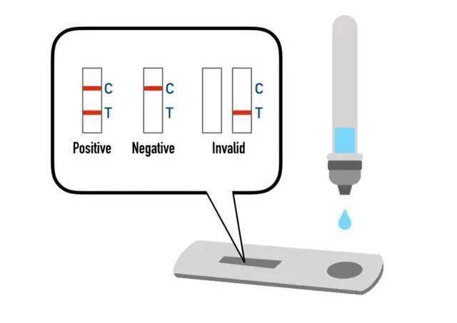 苹果手机联机版的意思是啥:抗原试剂盒上面的“C”跟“T”到底是啥意思？是“阴性”跟“阳性”的意思吗？