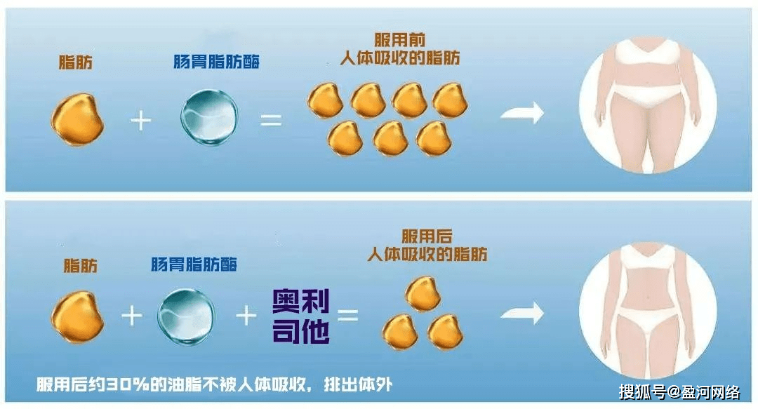 健身减肥速成苹果版:黄金8小时减肥法,任性吃不怕胖——森迪-第4张图片-太平洋在线下载