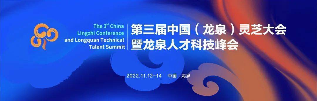 音乐手机:龙泉明年要干哪些事？请你来提，参与方式→