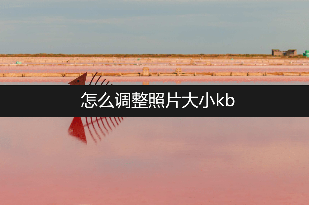 手机怎么改照片大小kb:怎么调整照片大小kb？看完你就懂了