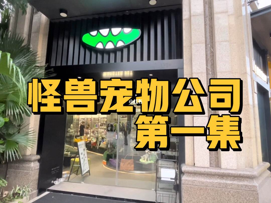 厦门新闻投影手机店厦门汽车票网上订票官网