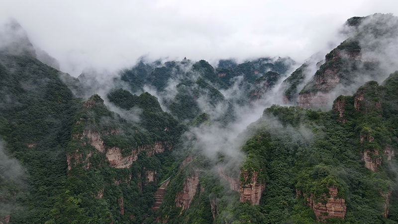 紫金山新闻客户端川端新闻客户端app-第2张图片-太平洋在线下载