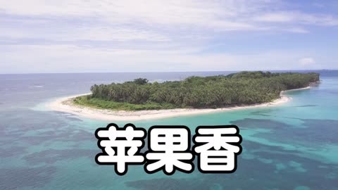 69dj苹果版dj苹果视频dj站